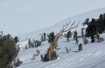 Snow in Yosemite National Park (Archive)