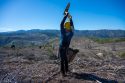 Crews planting seedlings in the Rim Fire burn scar to reforest the land -- STF photo