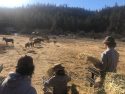 AmeriCorps National Civilian Community Corps working on the forest -- STF photo