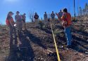 AmeriCorps National Civilian Community Corps working on the forest -- STF photo