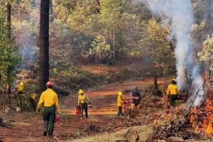 AmeriCorps National Civilian Community Corps working on the forest -- STF photo