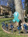 CNVC teal ribbons in downtown Sonora -- photo by Pamela Orebaugh