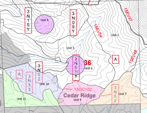 Cedar Ridge Planned Burning