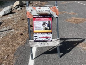 Sign in Stanislaus National Forest warning about invasive golden mussels