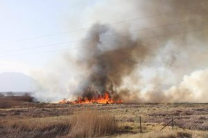 Silver Fire - CAL Fire Image