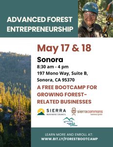Free Forest Business Bootcamp Coming To Sonora