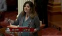 State Sen. Marie Alvarado-Gil speaking on Senate floor