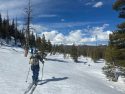 Yosemite ranger helping to conduct the final snow survey in the park