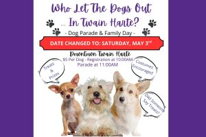 Dog Parade