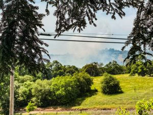 Update: Vegetation Fire In Jamestown