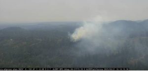Vegetation Fire In Twain Harte
