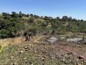 The Ross Fire was an escaped debris burn in the Valley Springs area of Calaveras County -- CCFD photo