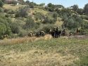 The Ross Fire was an escaped debris burn in the Valley Springs area of Calaveras County -- CCFD photo