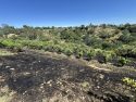 The Ross Fire was an escaped debris burn in the Valley Springs area of Calaveras County -- CCFD photo