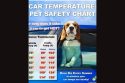 Car Temperature Pet Safety Chart -- SPD