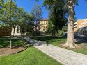 Courthouse Park In Sonora