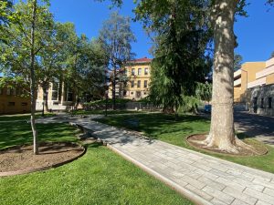 Courthouse Park In Sonora