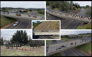 Gateway Signs Around Tuolumne County