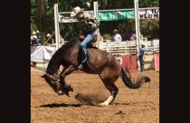 Mother Lode Roundup Rodeo