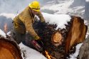 Earlier Prescribed Burn In Dorrington - STF Image