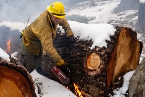 Earlier Prescribed Burn In Dorrington - STF Image