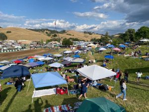Calaveras County Fair and Jumping Frog Jubilee