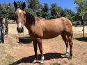 Chance after months of care—MCSAC photo