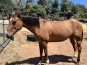 Chance after months of care—MCSAC photo