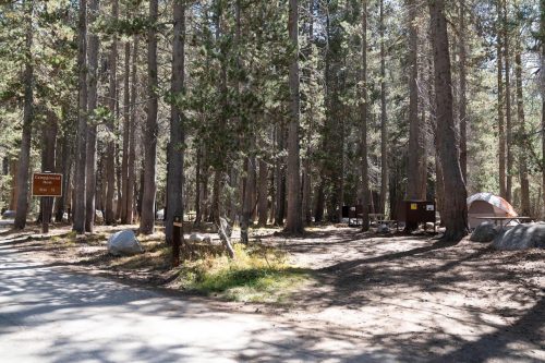 All campgrounds in Yosemite will be open this summer for the first time since 2019 -- Yosemite National Park photo