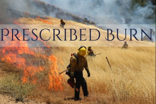 CAL Fire prescribed burn graphic