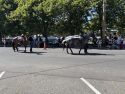 Tuolumne Lumber Jubilee Parade - Photo by Jason Banks