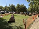 Tuolumne Lumber Jubilee - Photo by Jason Banks