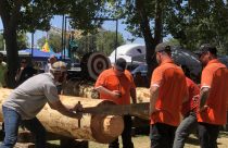Tuolumne Lumber Jubilee - Photo courtesy of Alisha Rock