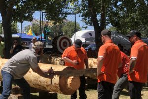 Tuolumne Lumber Jubilee - Photo courtesy of Alisha Rock