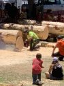 Tuolumne Lumber Jubilee - Photo courtesy of Alisha Rock