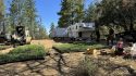 Two Greeley Hill properties raided for illegal marijuana grow—MCSO photo