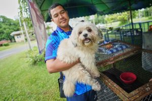 Thailand Cambodia Conflict Pets