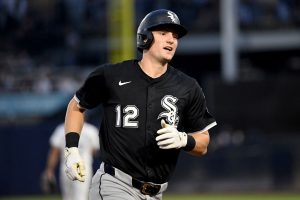 White Sox Rays Baseball