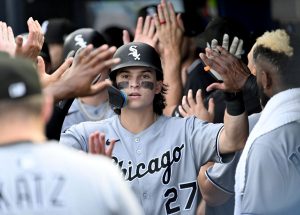 White Sox Rays Baseball