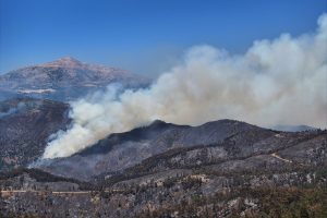 Syria Wildfires