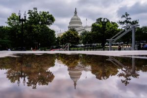 Congress