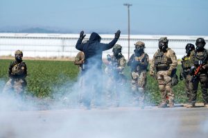 Marijuana Farm Raid
