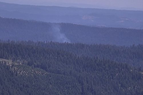 Fire in Calaveras Big Trees State Park near campground—PGE live camera