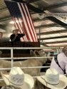 Mother Lode Fair Junior Livestock Auction - Photo courtesy of Alisha Rock