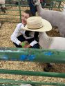 Mother Lode Fair Junior Livestock Auction - Photo courtesy of Alisha Rock