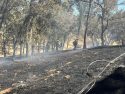 Lago Fire in Valley Springs, where two homes, including this on were threatened -- CCF photo