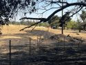 Slate Fire in Calaveras County—CCF photo