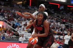 Storm Fever Basketball