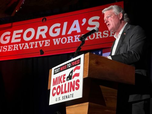 Election 2026 Georgia Senate