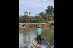 Peru Amazon Logging Tribes